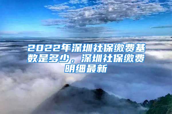 2022年深圳社保繳費(fèi)基數(shù)是多少，深圳社保繳費(fèi)明細(xì)最新