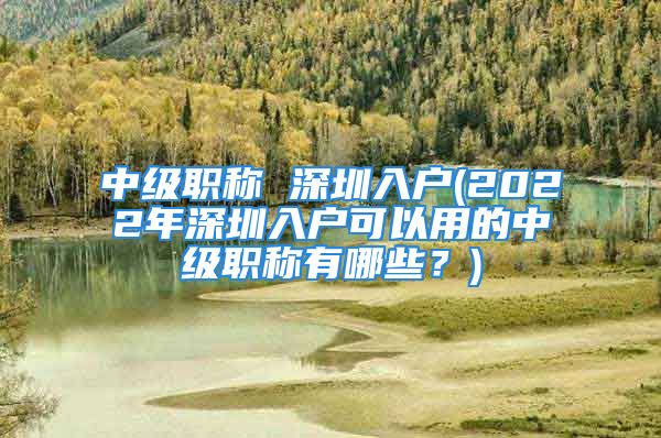 中級職稱 深圳入戶(2022年深圳入戶可以用的中級職稱有哪些？)