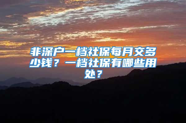 非深戶一檔社保每月交多少錢？一檔社保有哪些用處？