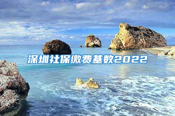 深圳社保繳費基數(shù)2022