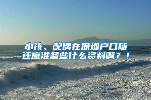 小孩、配偶在深圳戶口隨遷應(yīng)準(zhǔn)備些什么資料?。?！