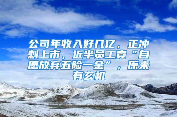 公司年收入好幾億，正沖刺上市，近半員工竟“自愿放棄五險一金”，原來有玄機