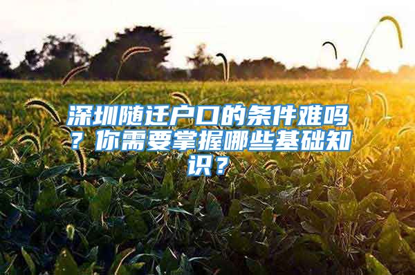 深圳隨遷戶口的條件難嗎？你需要掌握哪些基礎(chǔ)知識(shí)？