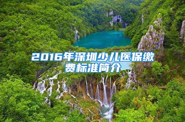 2016年深圳少兒醫(yī)保繳費(fèi)標(biāo)準(zhǔn)簡介