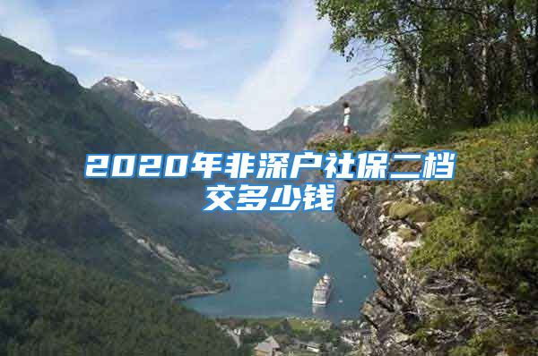 2020年非深戶社保二檔交多少錢