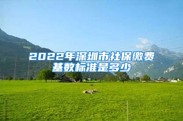 2022年深圳市社保繳費基數(shù)標準是多少