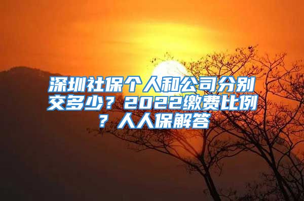 深圳社保個人和公司分別交多少？2022繳費比例？人人保解答