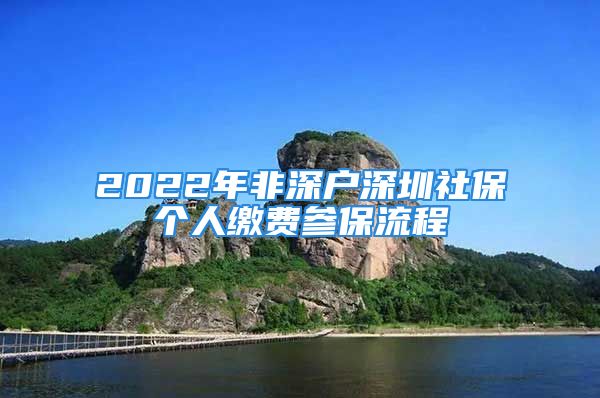 2022年非深戶深圳社保個人繳費參保流程