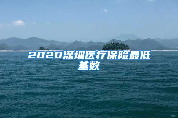 2020深圳醫(yī)療保險最低基數(shù)