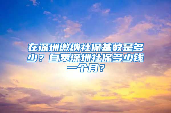 在深圳繳納社?；鶖凳嵌嗌?？自費深圳社保多少錢一個月？