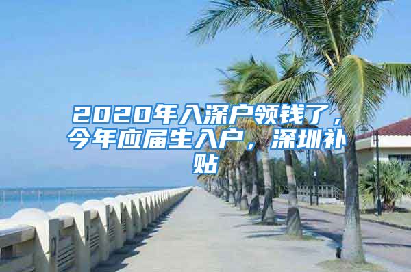 2020年入深戶領(lǐng)錢(qián)了，今年應(yīng)屆生入戶，深圳補(bǔ)貼