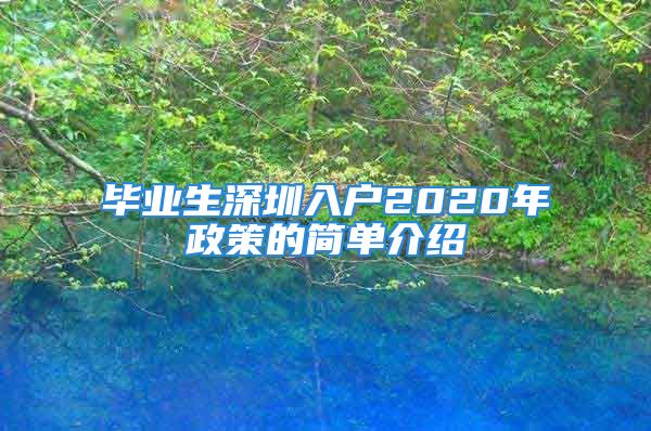 畢業(yè)生深圳入戶2020年政策的簡單介紹