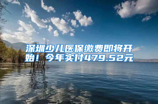 深圳少兒醫(yī)保繳費(fèi)即將開(kāi)始！今年實(shí)付479.52元