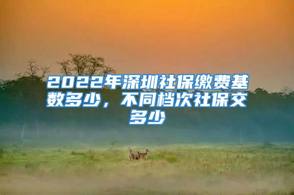 2022年深圳社保繳費基數(shù)多少，不同檔次社保交多少