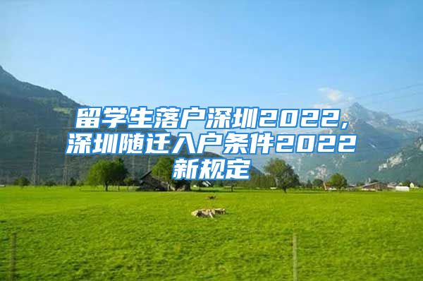 留學(xué)生落戶深圳2022,深圳隨遷入戶條件2022新規(guī)定