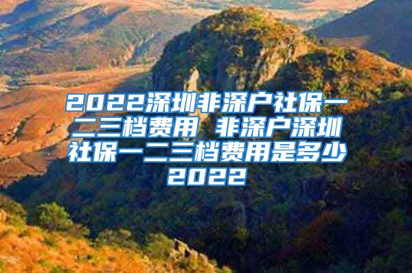 2022深圳非深戶社保一二三檔費(fèi)用 非深戶深圳社保一二三檔費(fèi)用是多少2022