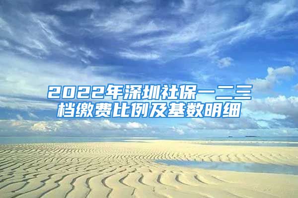 2022年深圳社保一二三檔繳費(fèi)比例及基數(shù)明細(xì)