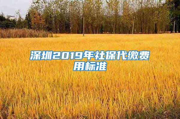 深圳2019年社保代繳費(fèi)用標(biāo)準(zhǔn)