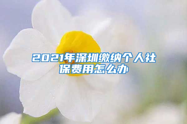 2021年深圳繳納個人社保費用怎么辦