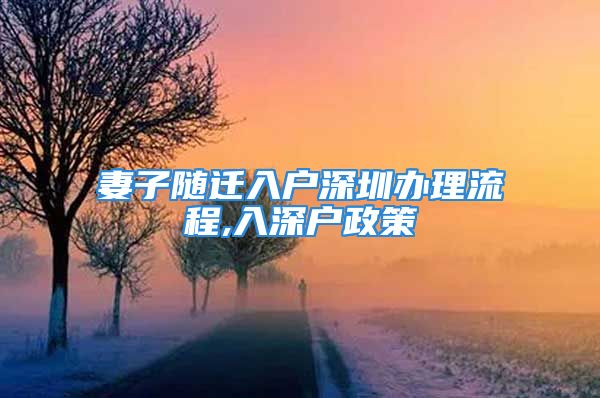 妻子隨遷入戶深圳辦理流程,入深戶政策