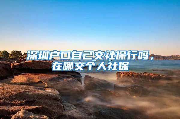 深圳戶口自己交社保行嗎，在哪交個(gè)人社保