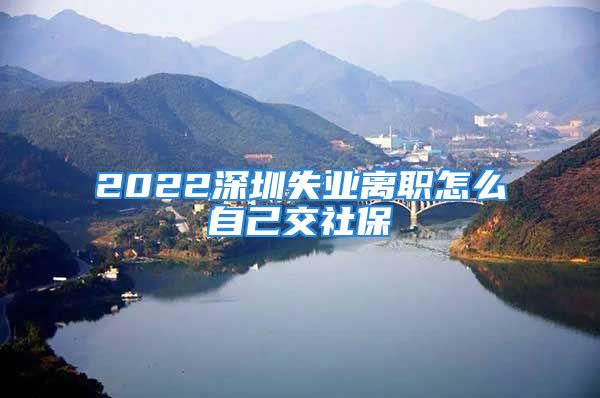 2022深圳失業(yè)離職怎么自己交社保