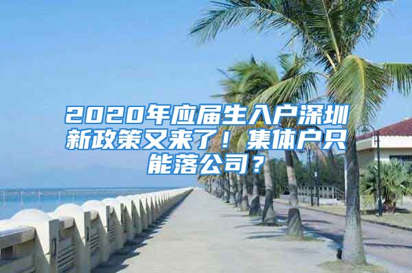 2020年應(yīng)屆生入戶深圳新政策又來了！集體戶只能落公司？