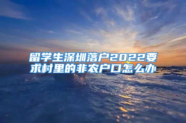 留學生深圳落戶2022要求村里的非農(nóng)戶口怎么辦