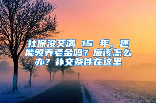 社保沒交滿 15 年，還能領(lǐng)養(yǎng)老金嗎？應(yīng)該怎么辦？補交條件在這里