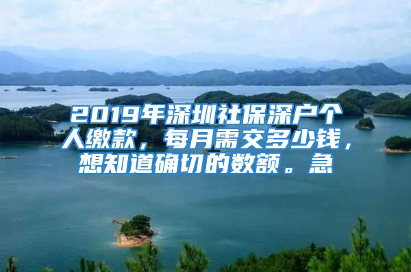 2019年深圳社保深戶個人繳款，每月需交多少錢，想知道確切的數(shù)額。急