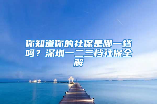 你知道你的社保是哪一檔嗎？深圳一二三檔社保全解