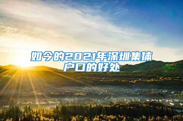 如今的2021年深圳集體戶口的好處