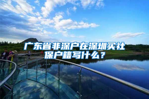 廣東省非深戶在深圳買社保戶籍寫什么？