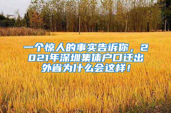 一個驚人的事實告訴你，2021年深圳集體戶口遷出外省為什么會這樣！