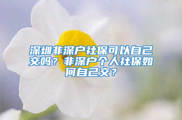 深圳非深戶社?？梢宰约航粏幔糠巧顟魝€(gè)人社保如何自己交？