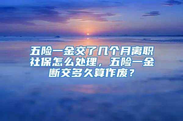 五險(xiǎn)一金交了幾個(gè)月離職社保怎么處理，五險(xiǎn)一金斷交多久算作廢？