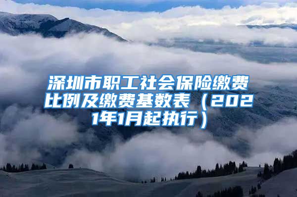 深圳市職工社會保險繳費比例及繳費基數(shù)表（2021年1月起執(zhí)行）