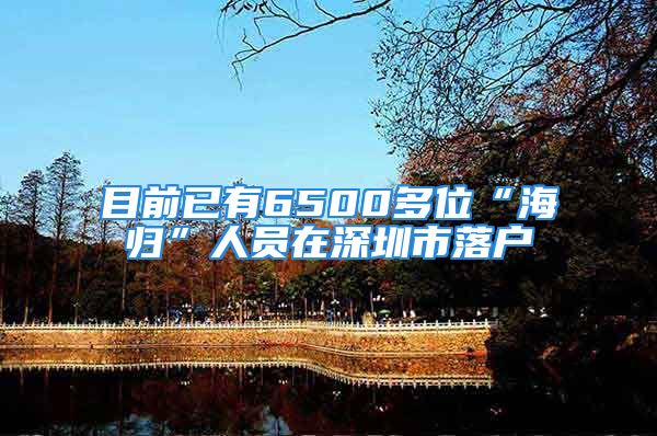 目前已有6500多位“海歸”人員在深圳市落戶(hù)