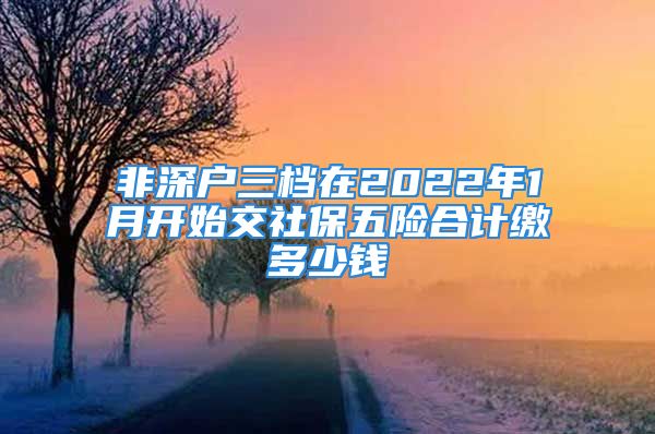 非深戶三檔在2022年1月開始交社保五險合計繳多少錢