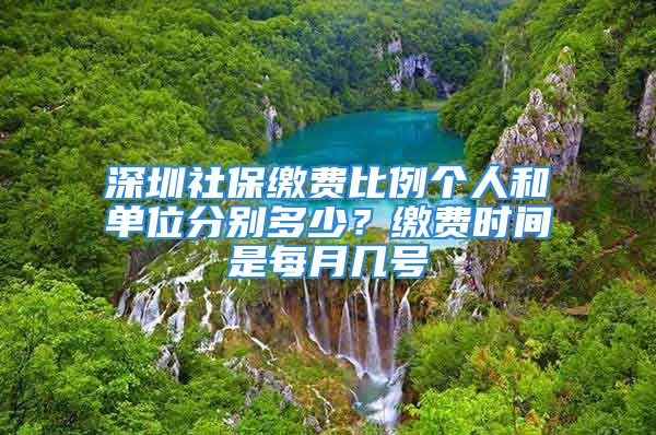 深圳社保繳費(fèi)比例個人和單位分別多少？繳費(fèi)時間是每月幾號