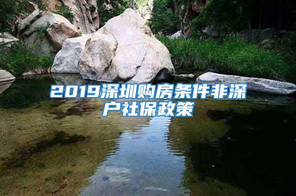 2019深圳購房條件非深戶社保政策