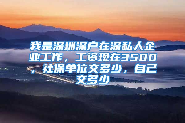 我是深圳深戶在深私人企業(yè)工作，工資現在3500，社保單位交多少，自己交多少