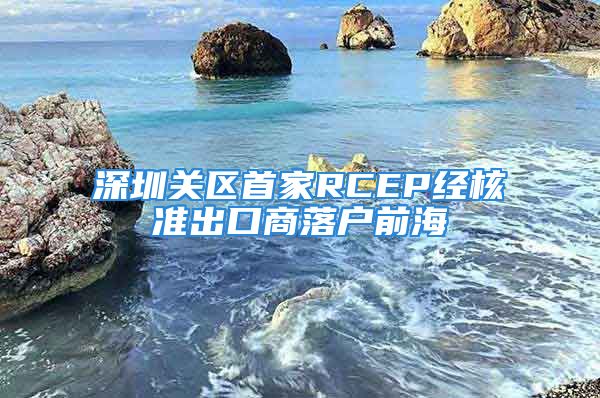 深圳關(guān)區(qū)首家RCEP經(jīng)核準(zhǔn)出口商落戶前海