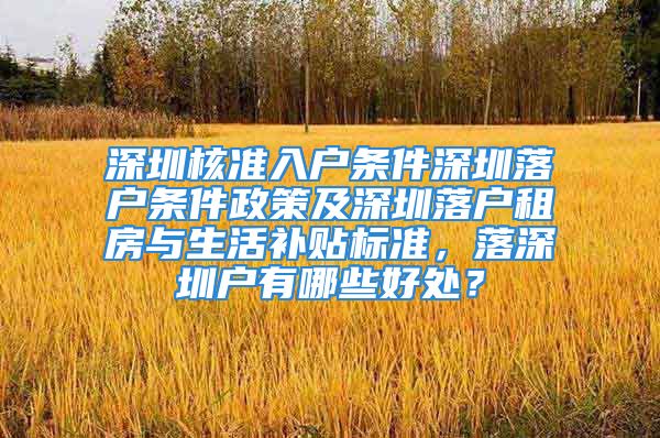 深圳核準(zhǔn)入戶條件深圳落戶條件政策及深圳落戶租房與生活補(bǔ)貼標(biāo)準(zhǔn)，落深圳戶有哪些好處？