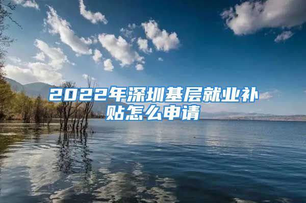 2022年深圳基層就業(yè)補(bǔ)貼怎么申請