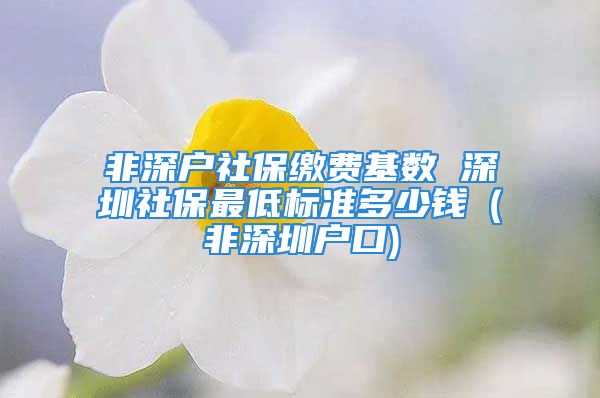 非深戶社保繳費(fèi)基數(shù) 深圳社保最低標(biāo)準(zhǔn)多少錢（非深圳戶口)