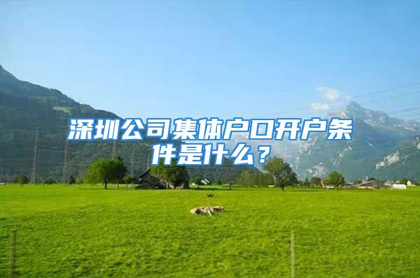 深圳公司集體戶口開戶條件是什么？