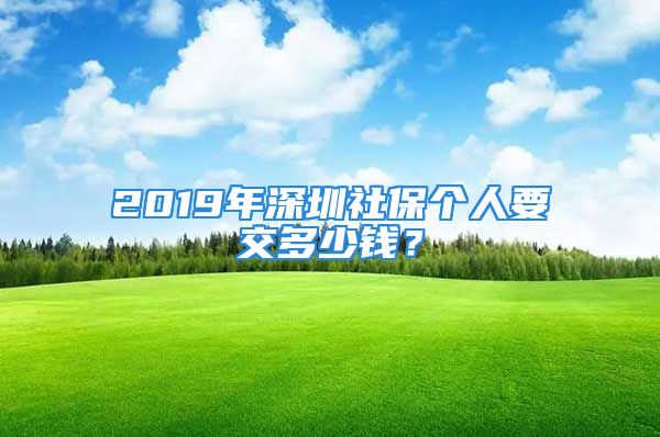 2019年深圳社保個人要交多少錢？