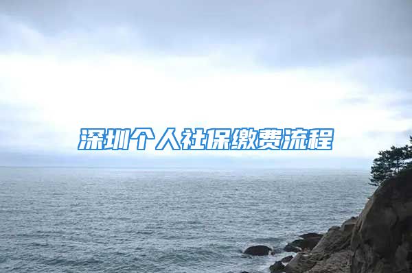 深圳個(gè)人社保繳費(fèi)流程