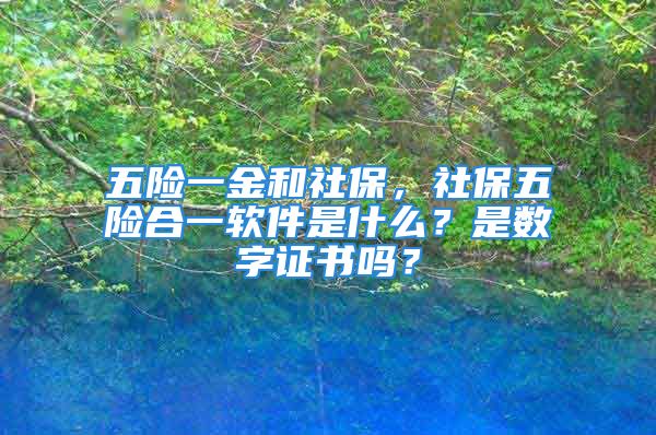 五險一金和社保，社保五險合一軟件是什么？是數(shù)字證書嗎？